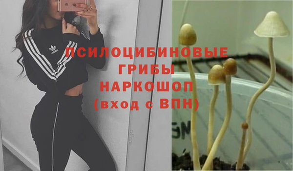 кокаин премиум Вяземский