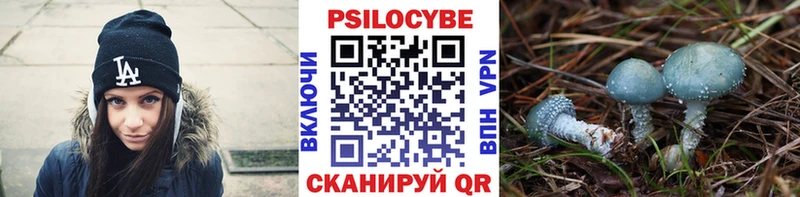 закладки  Пионерский  гидра   Псилоцибиновые грибы Cubensis 