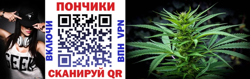 kraken как зайти Пионерский Бошки марихуана гибрид купить наркотик